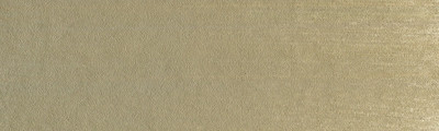 780.7 PanPastel Raw Umber Light 9 ml