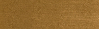 710.3 PanPastel Raw Sienna Shade 9 ml