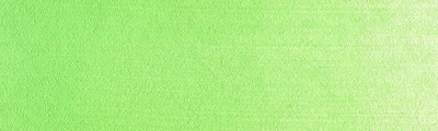 690.7 PanPastel Yellow Green Light 9 ml