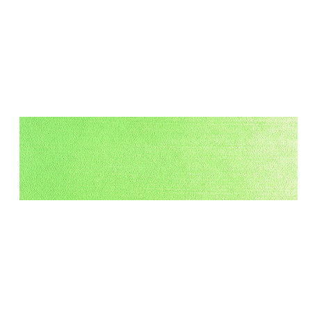 690.7 PanPastel Yellow Green Light 9 ml