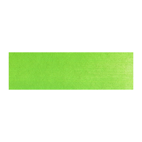 690.5 PanPastel Yellow Green 9 ml