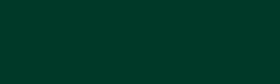 Brunswik Green, farba H2O Textil Color spray 150 ml