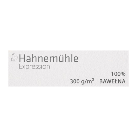 Papier akwarelowy Expression CP 300 g/m² 50 x 65 cm, 10 ark.