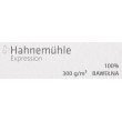 Papier akwarelowy Expression CP 300 g/m² 50 x 65 cm, 10 ark.