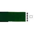 570 Sap Green, PRIMAcryl heavy body, Schmincke 60 ml