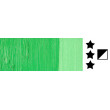 16 Cadmium Green Hue, farba olejna Studio XL Pebeo 200 ml