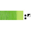 15 English Light Green, farba olejna Studio XL Pebeo 200 ml
