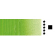 510 Permanent Yellowish-Green, farba olejna Norma Professional 120 ml