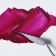 Olej lniany stały Winsor&Newton