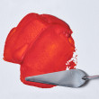 Olej makowy wysychający Winsor&Newton