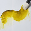 zolc wolowa winsor newton