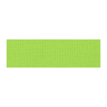 466 Neon Green, barwnik do tkanin iDye Poly, 14 g