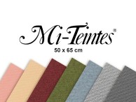 Canson Mi-Teintes Mi-Teintes 50x65
