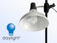 Oświetlenie Lampy DAYLIGHT