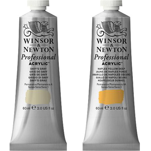 wn acrylic professional paint